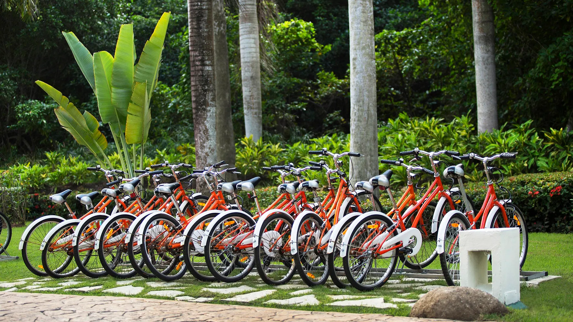 Hotel Paradisus Punta Cana Resort All Inclusive (Adults Only)